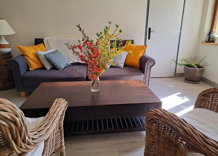 Relais Saint Vincent Guest house 3*